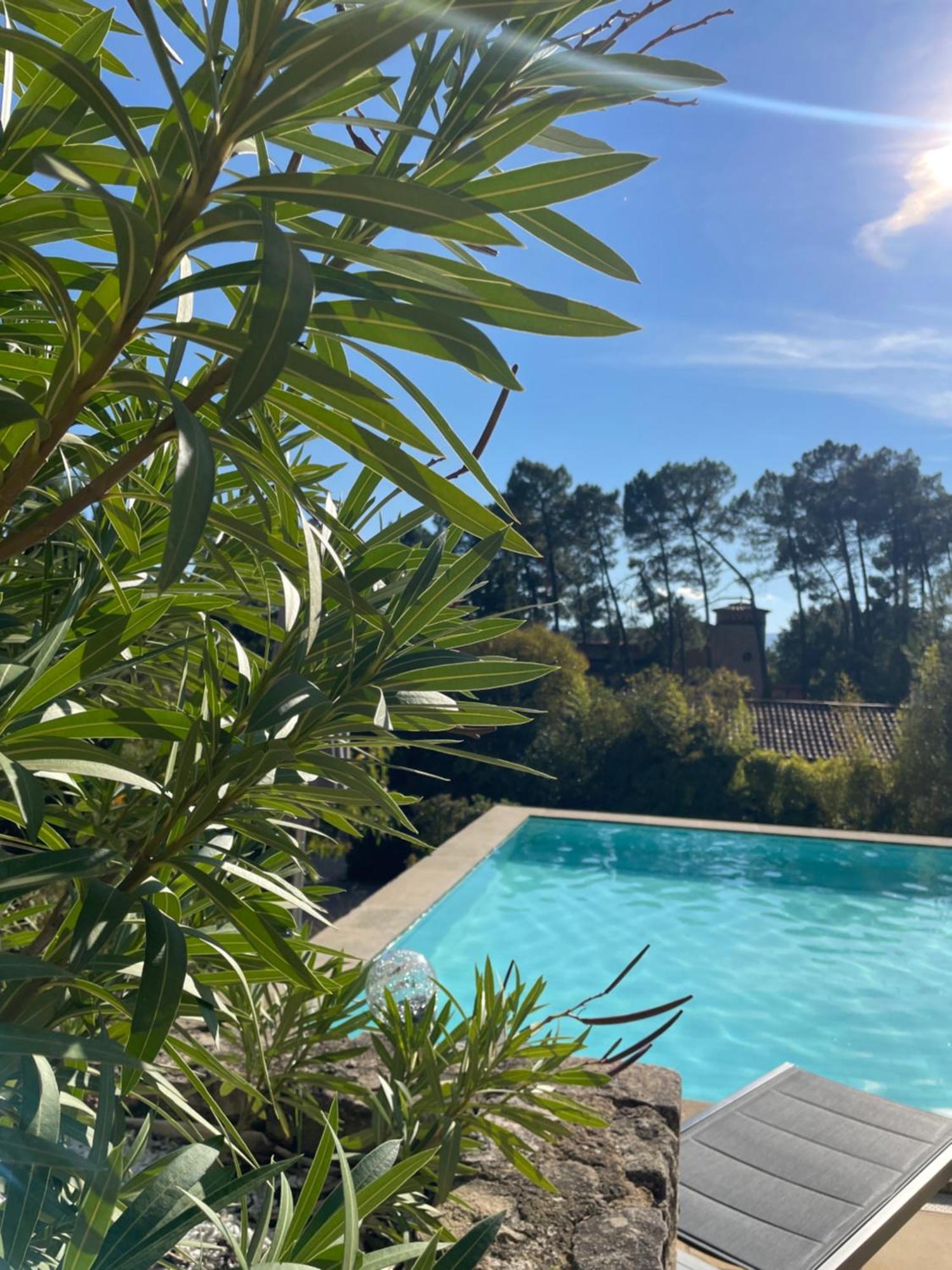 Ferienwohnung O Coeur Des Ocres Roussillon en Isere Exterior foto