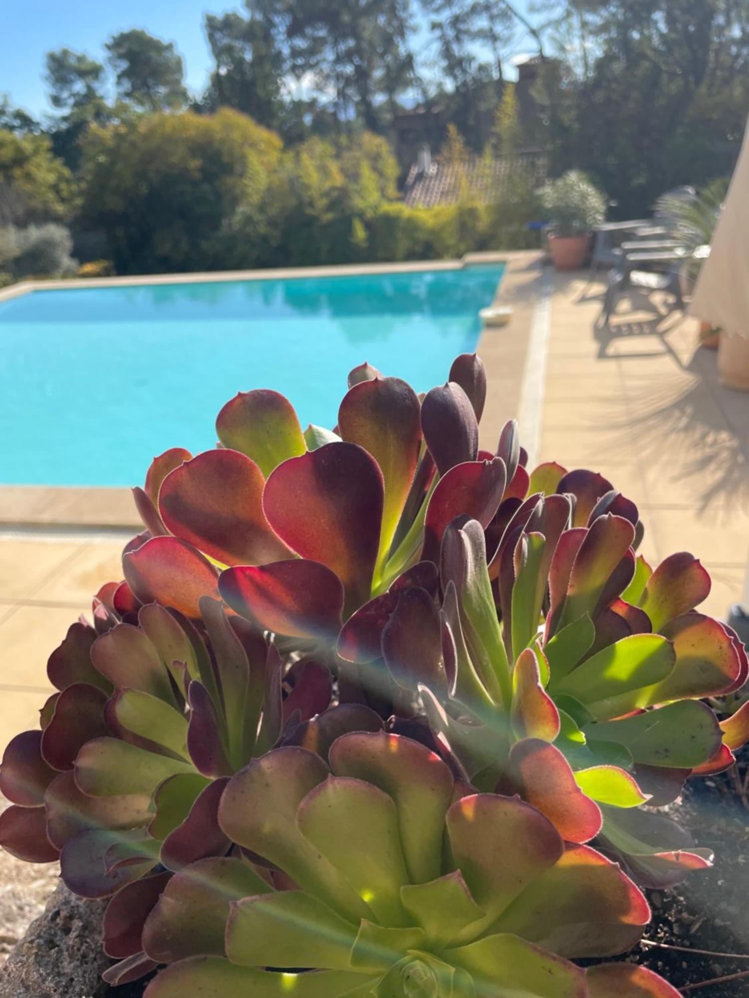 Ferienwohnung O Coeur Des Ocres Roussillon en Isere Exterior foto