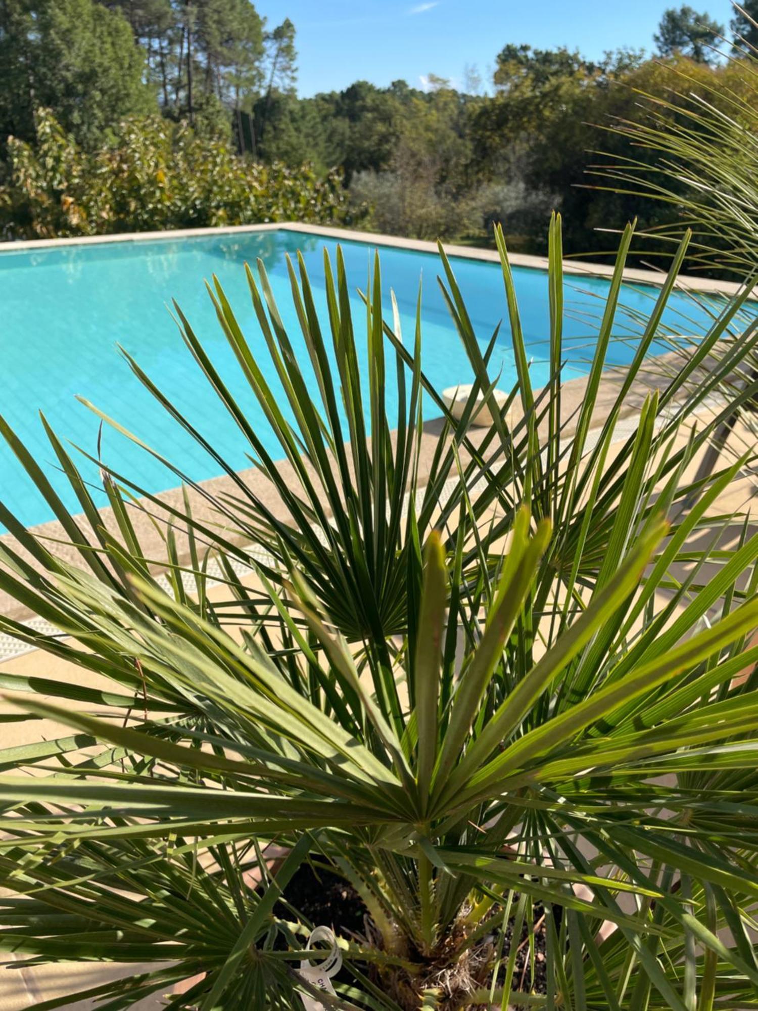 Ferienwohnung O Coeur Des Ocres Roussillon en Isere Exterior foto